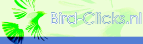 Logo Bird-Clicks